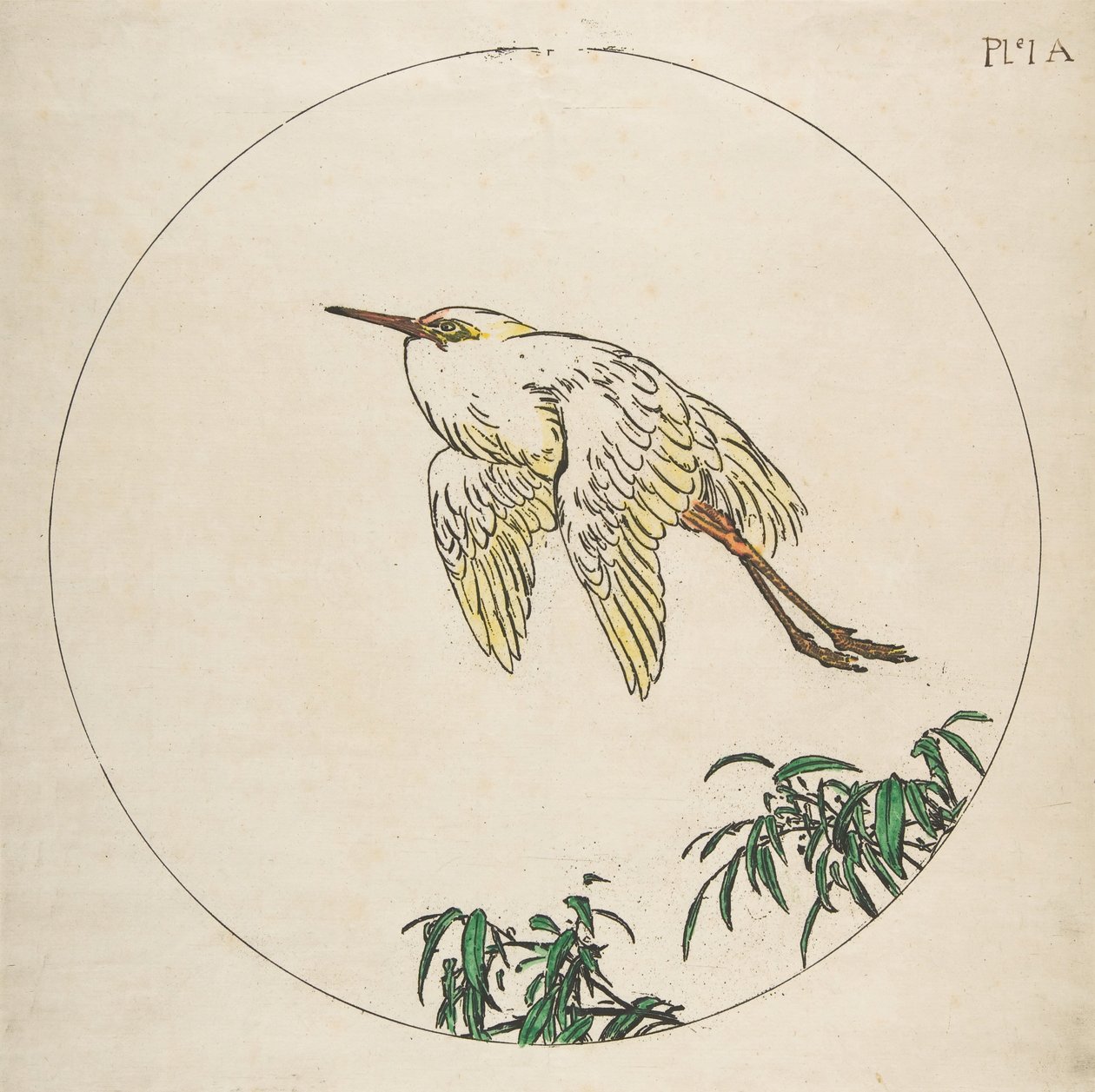 盘子的装饰：白鹭在竹枝上飞翔，1850-1914。 作者 费利克斯·布拉克蒙德