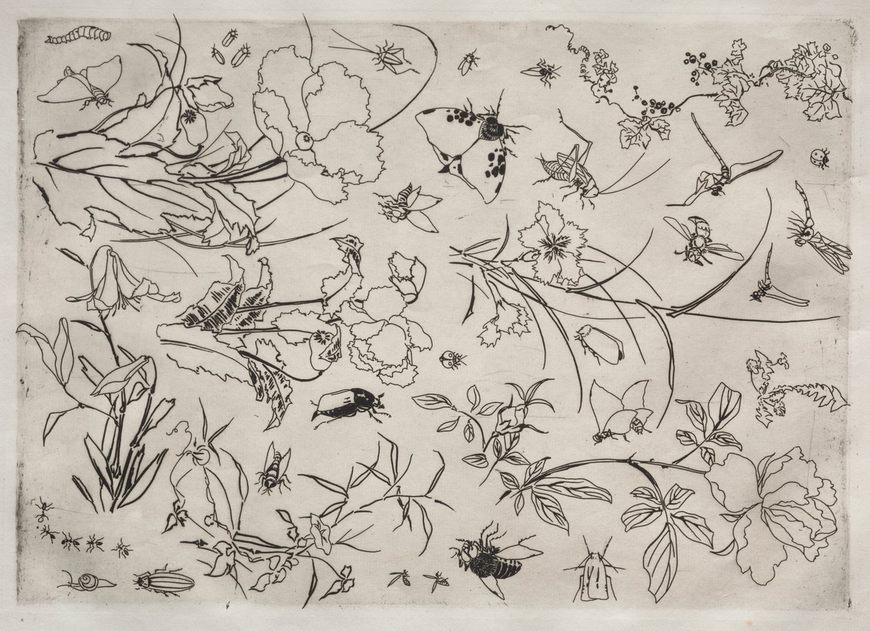 晚餐服务（卢梭服务）：花与昆虫（第 15 号） 作者 费利克斯·布拉克蒙德