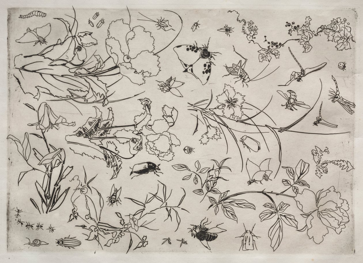 晚餐服务卢梭服务：没有花和昆虫。 1866年15月15日。 作者 费利克斯·布拉克蒙德