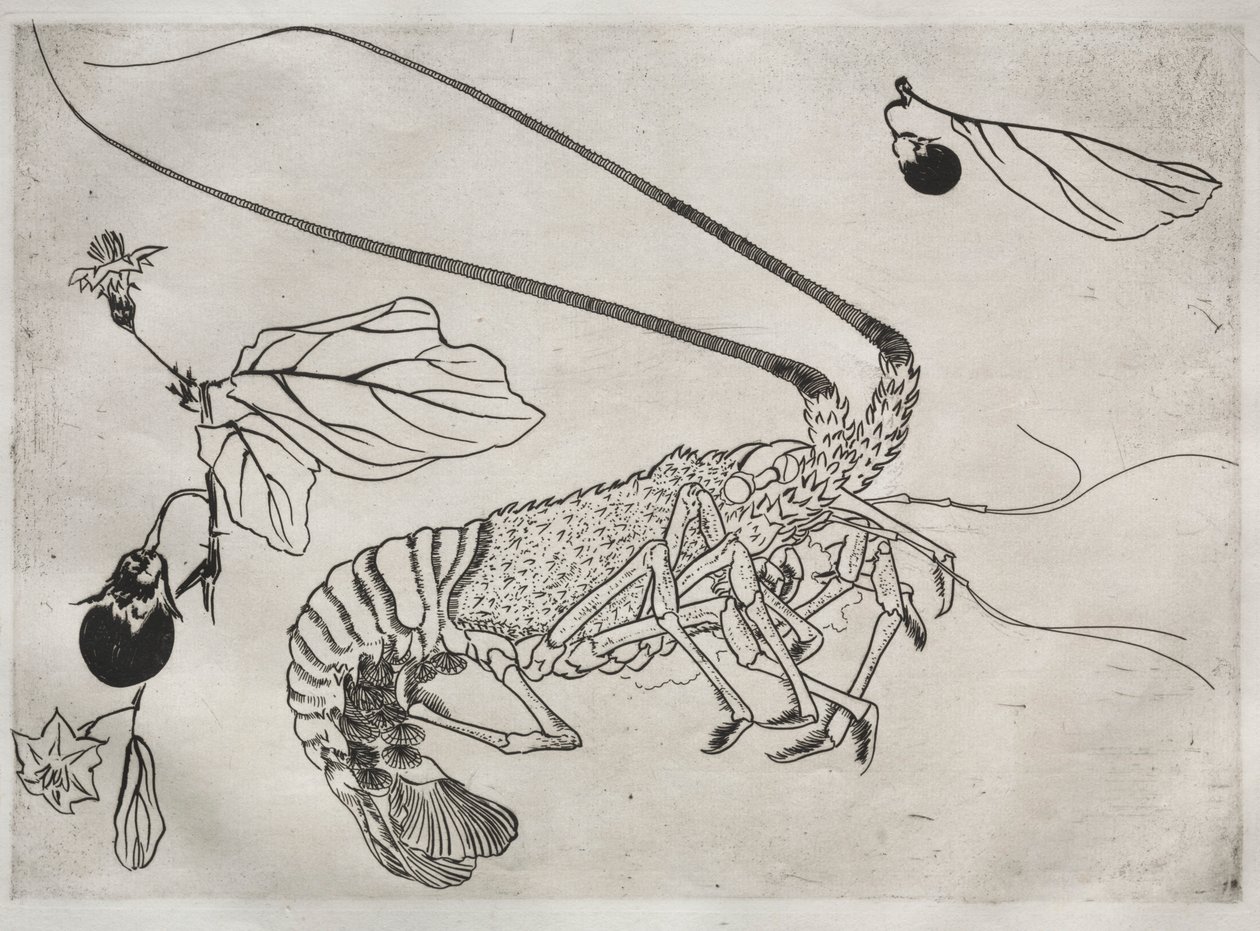 晚餐服务卢梭服务：大龙虾，天线号为0。 1866年2月21日。 作者 费利克斯·布拉克蒙德