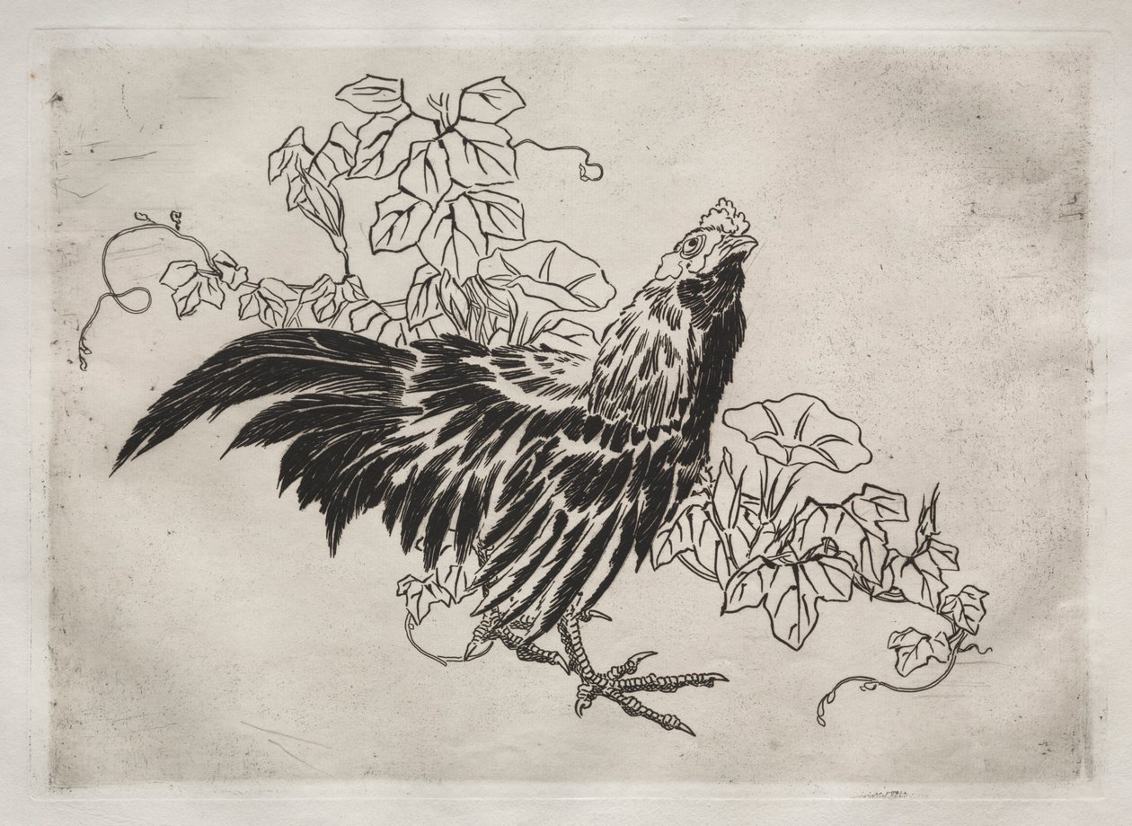 晚餐服务卢梭服务：雄鸡和牵牛花。 1866年5月25日。 作者 费利克斯·布拉克蒙德