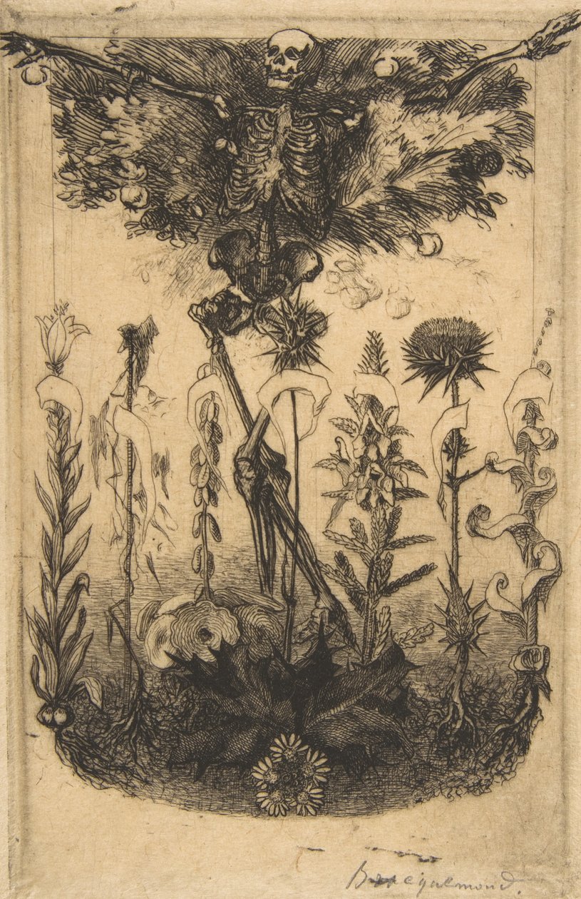 Les Fleurs du Mal》的封面画，1857年。 作者 费利克斯·布拉克蒙德