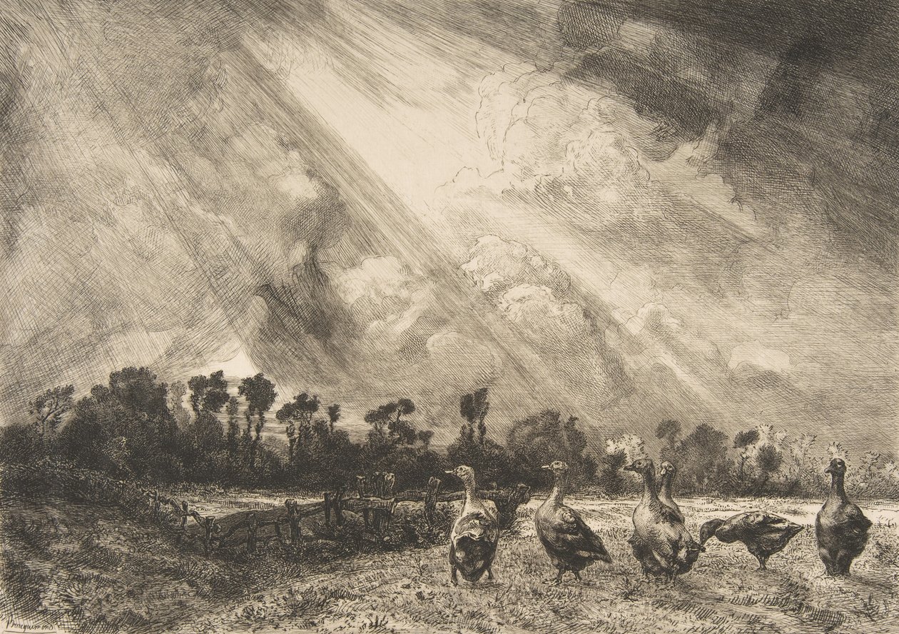 La Nuée d