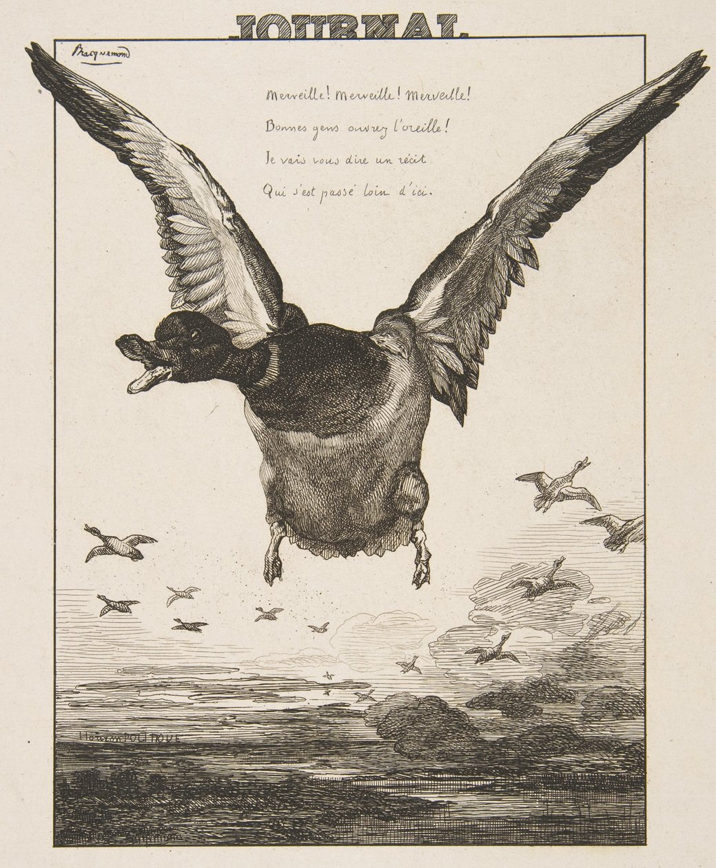 Le Canard, 1856. 作者 费利克斯·布拉克蒙德