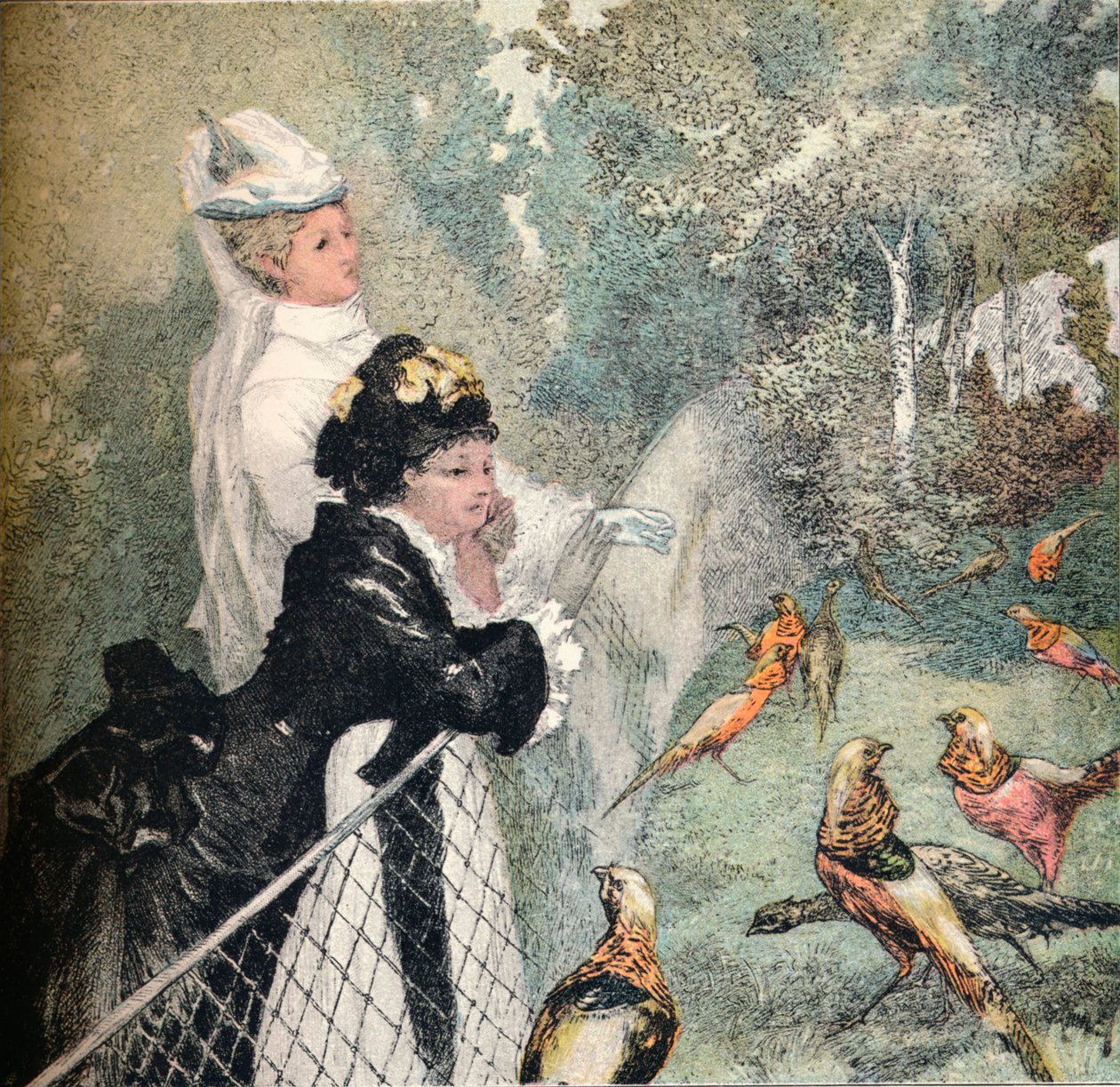 Jardin DAcclimatation，c1895年 作者 费利克斯·布拉克蒙德