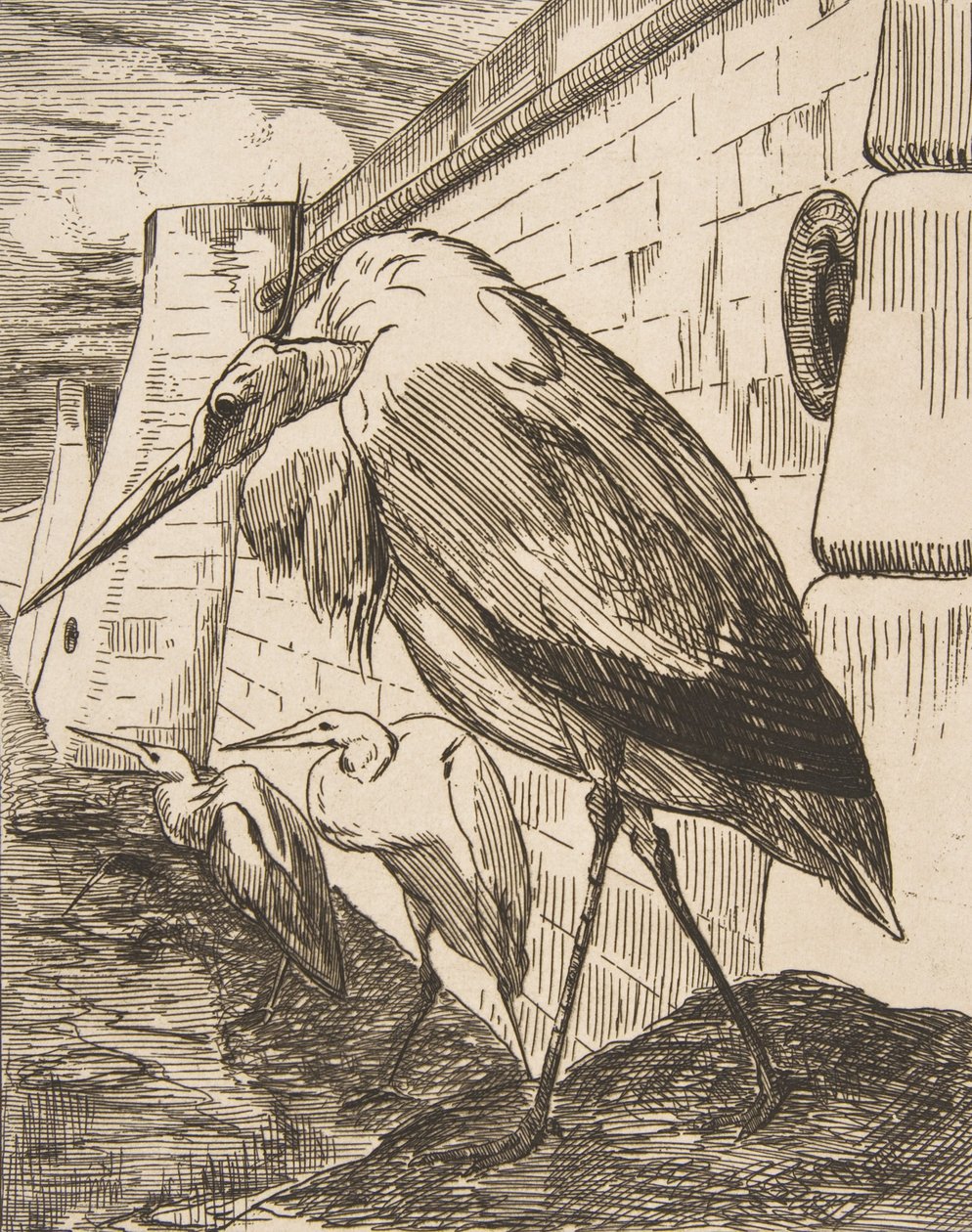 Les Cigognes, 1870s., 1870s. 作者 费利克斯·布拉克蒙德