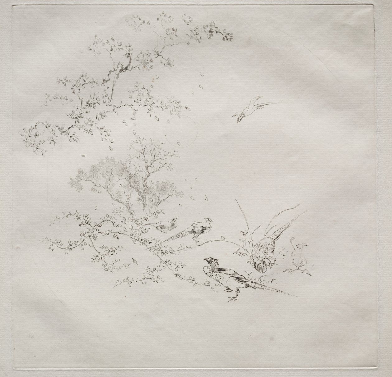 巴黎服务（哈维兰服务） 作者 费利克斯·布拉克蒙德