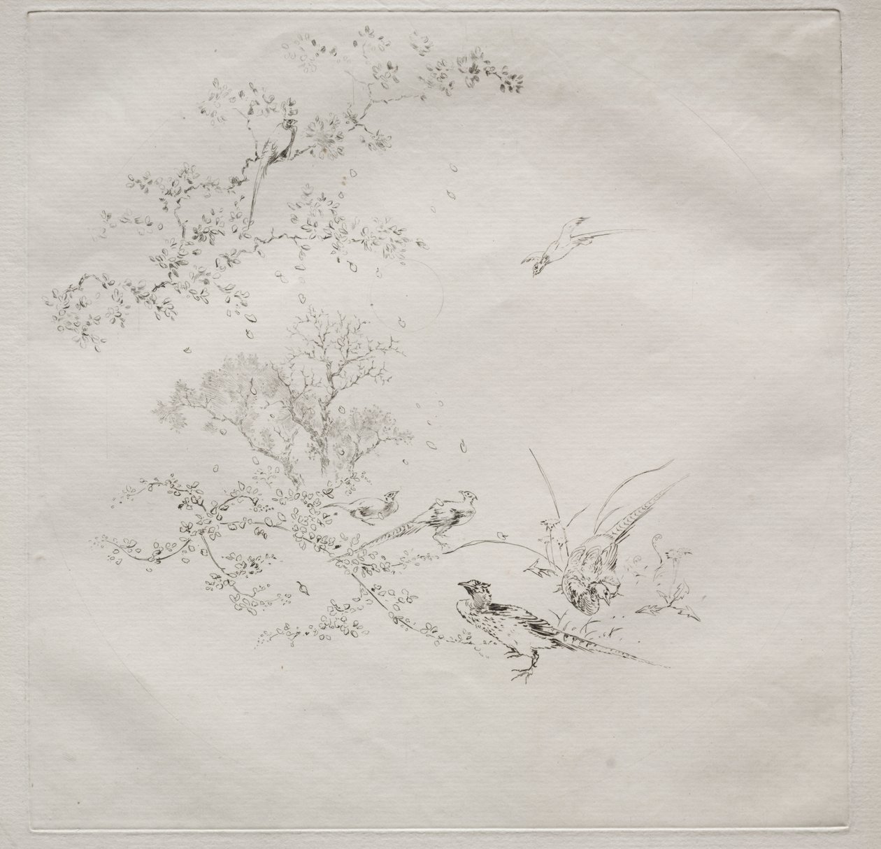 巴黎服务（哈维兰服务）：雾（第 1 号） 作者 费利克斯·布拉克蒙德