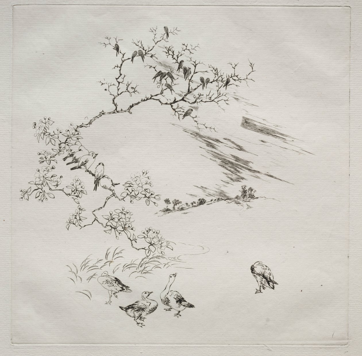 巴黎服务（哈维兰服务）：夜景（第 7 号） 作者 费利克斯·布拉克蒙德