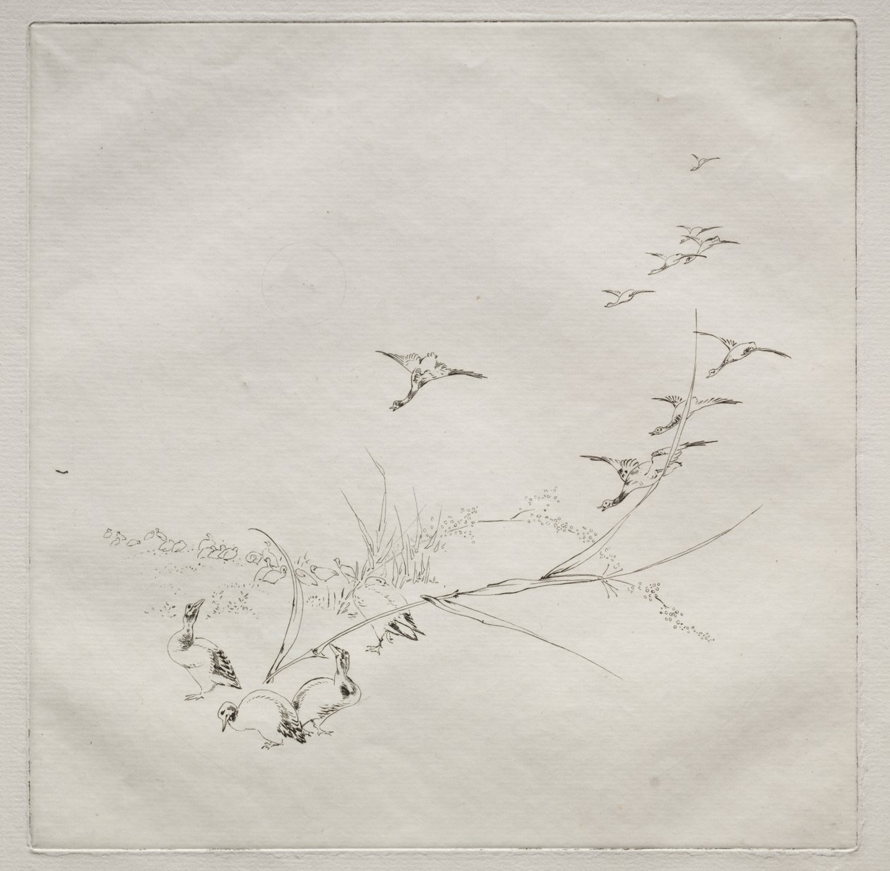 巴黎服务（哈维兰服务）：阳光下的权利（第 9 号） 作者 费利克斯·布拉克蒙德