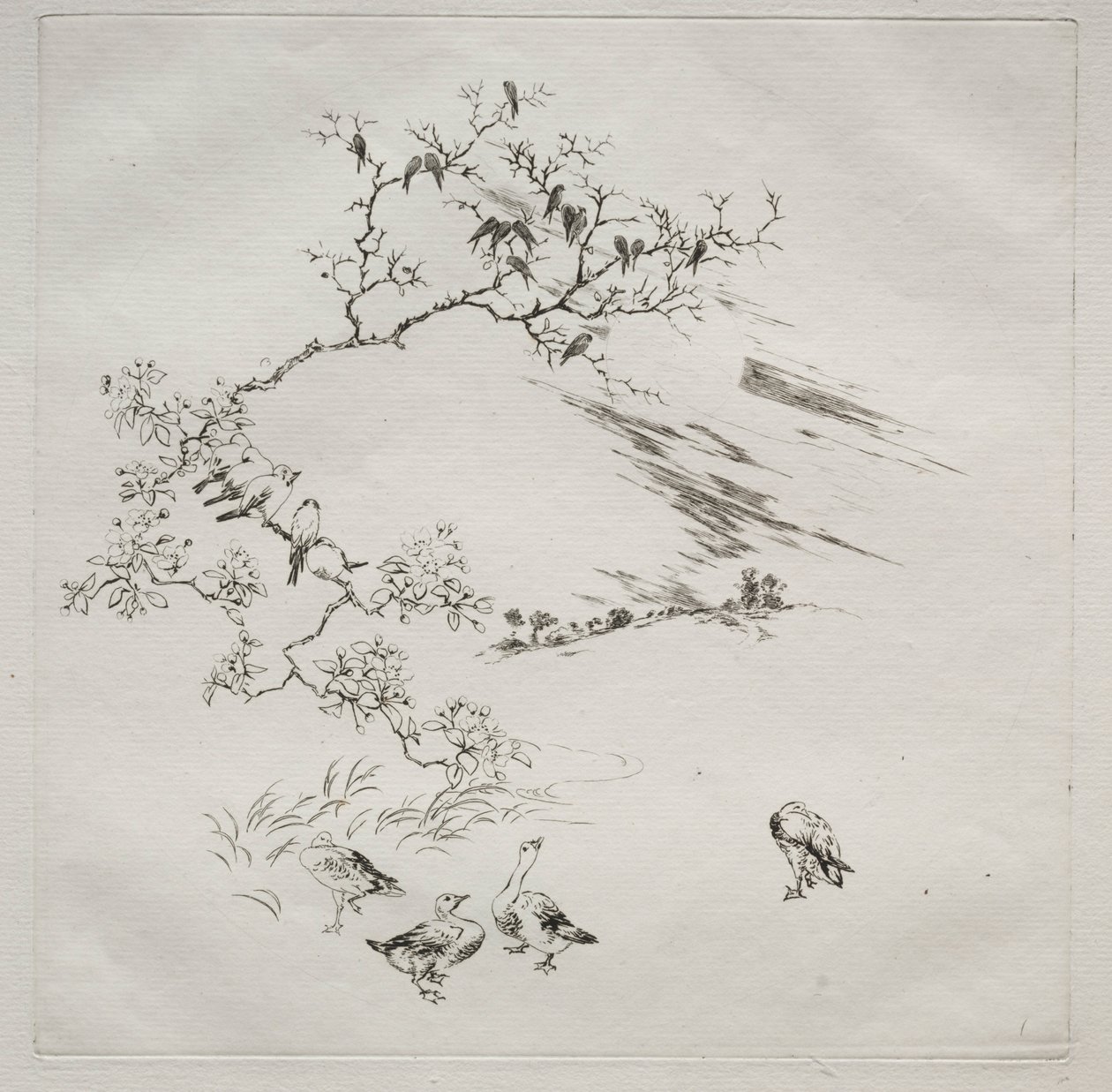 巴黎人服务哈维兰服务：晚上号。 1875年7月7日。 作者 费利克斯·布拉克蒙德