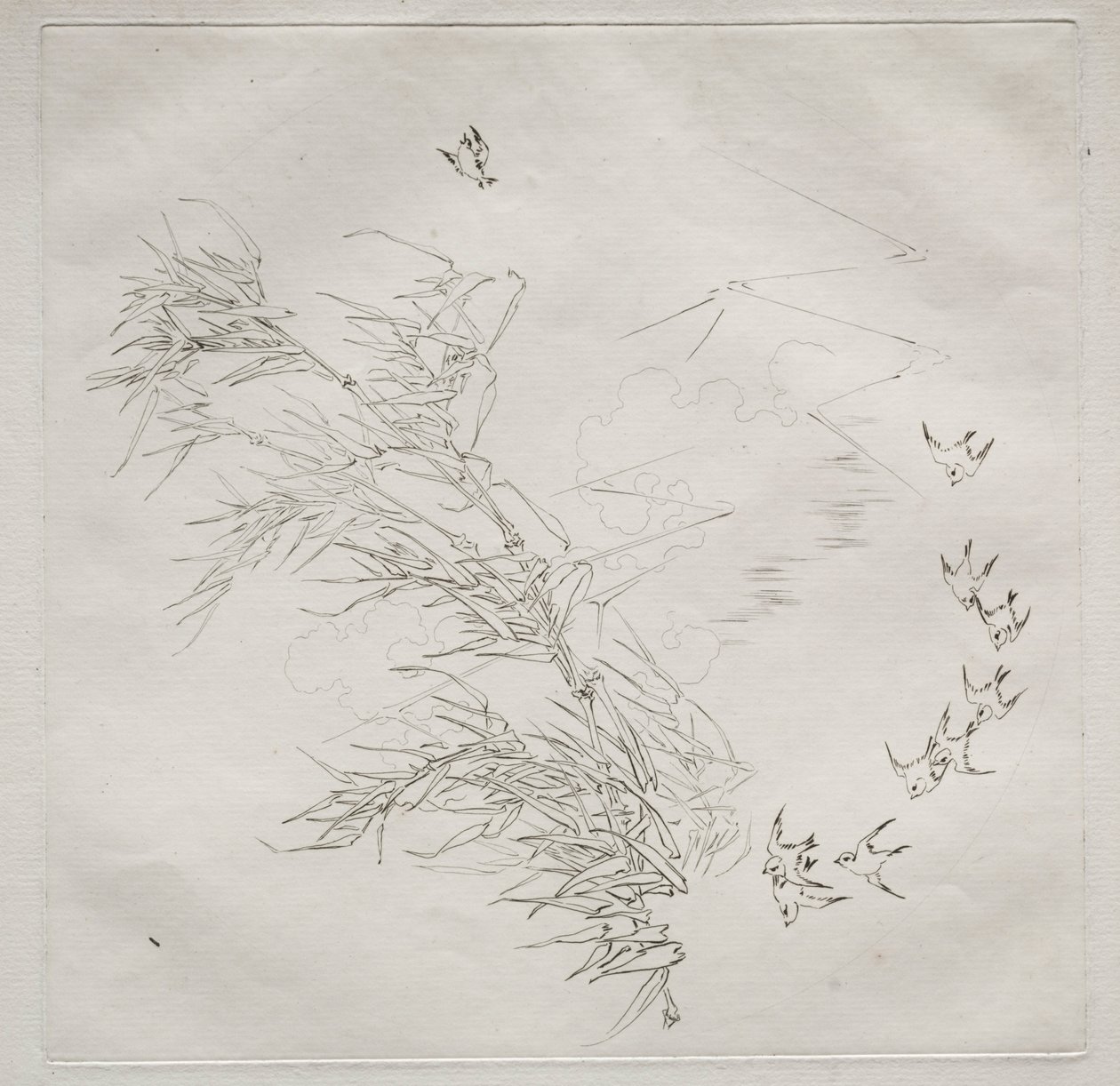 巴黎人服务哈维兰服务：暴风雨号。 1875年8月8日。 作者 费利克斯·布拉克蒙德