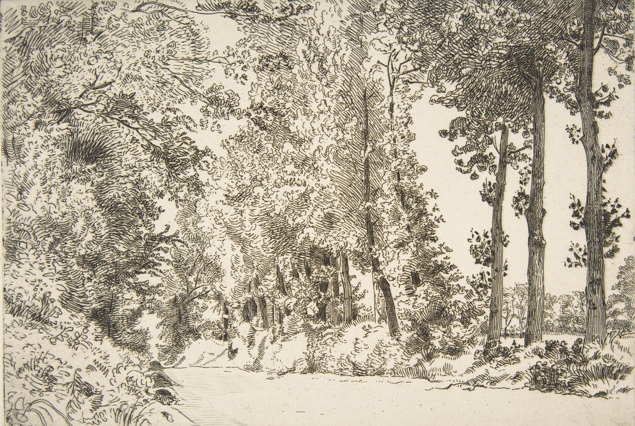 布鲁耶尔街，塞夫勒，1868年。 作者 费利克斯·布拉克蒙德
