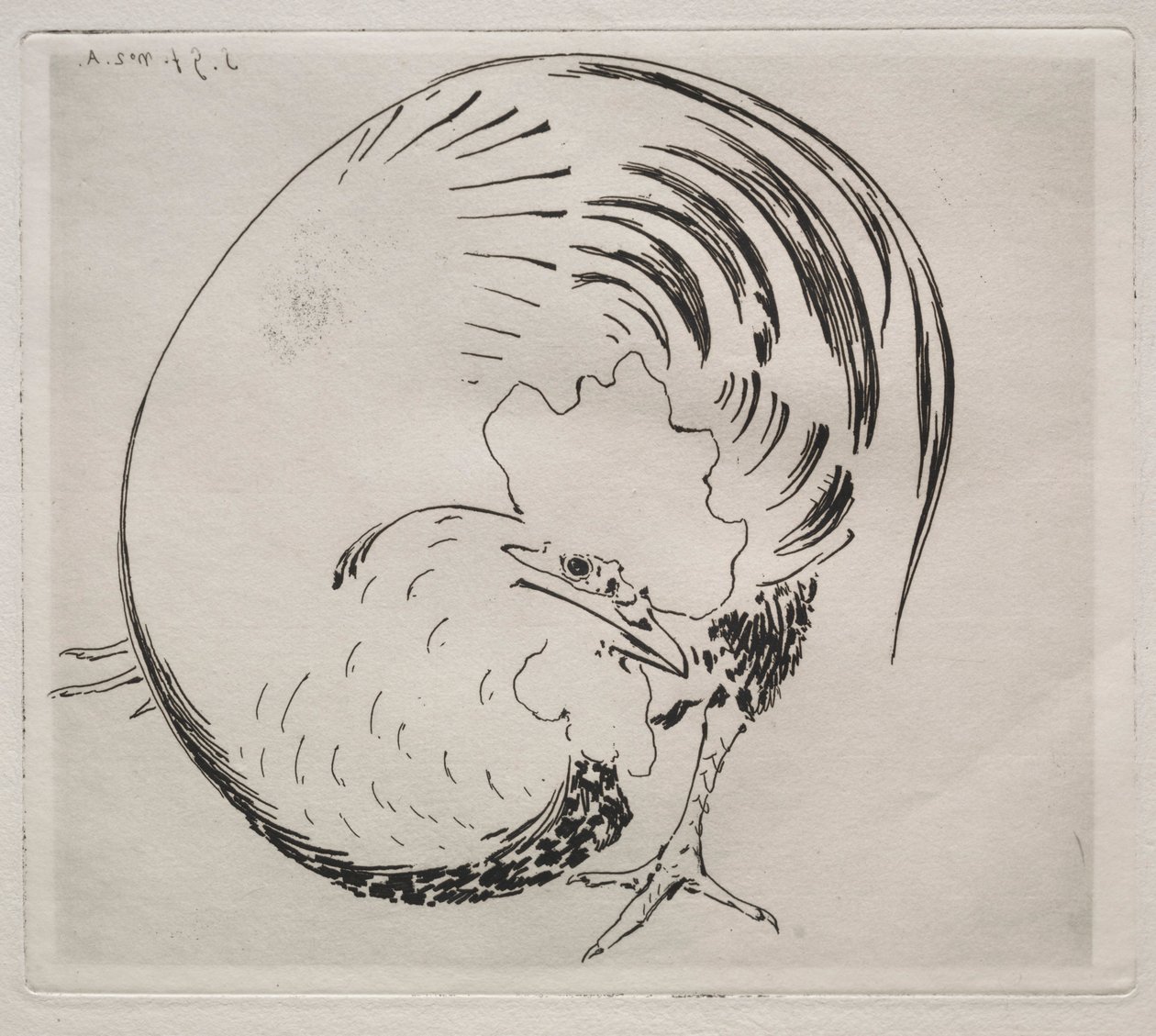 高调服务：Rooster，c。 1860年。 作者 费利克斯·布拉克蒙德