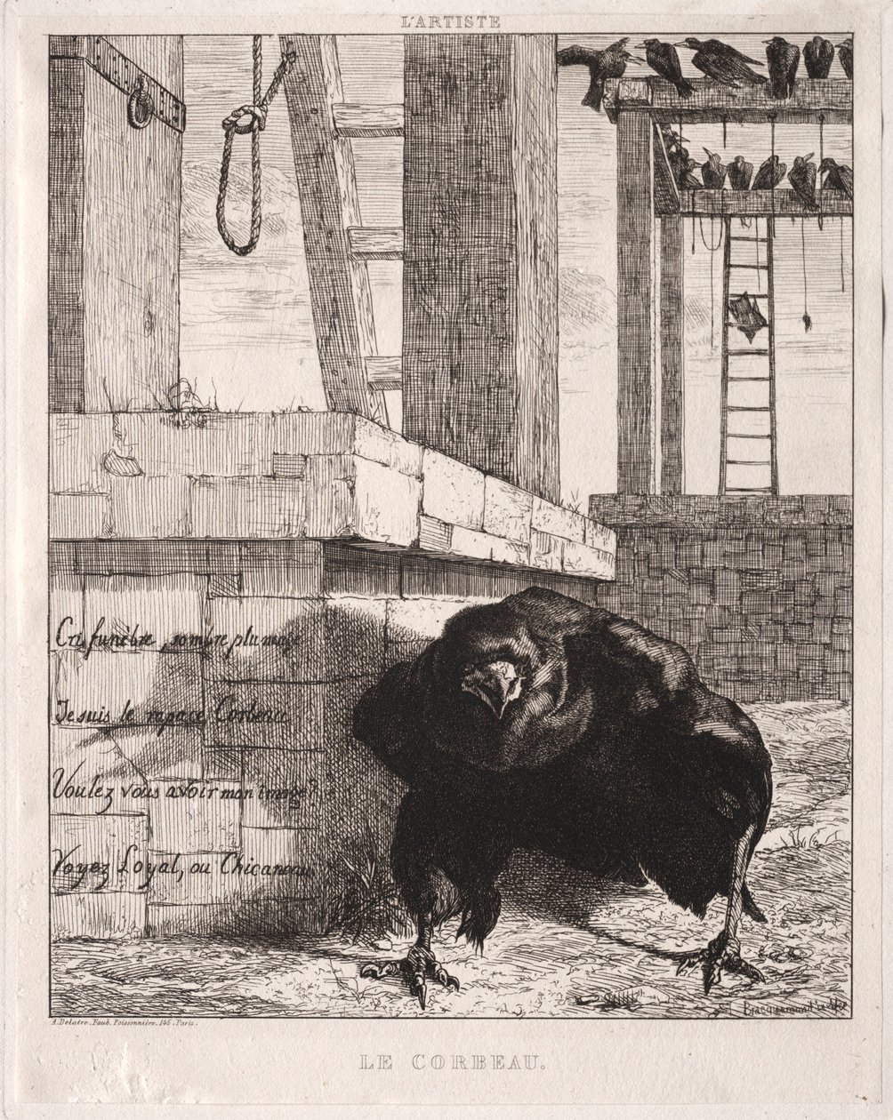 渡鸦，1854年。 作者 费利克斯·布拉克蒙德