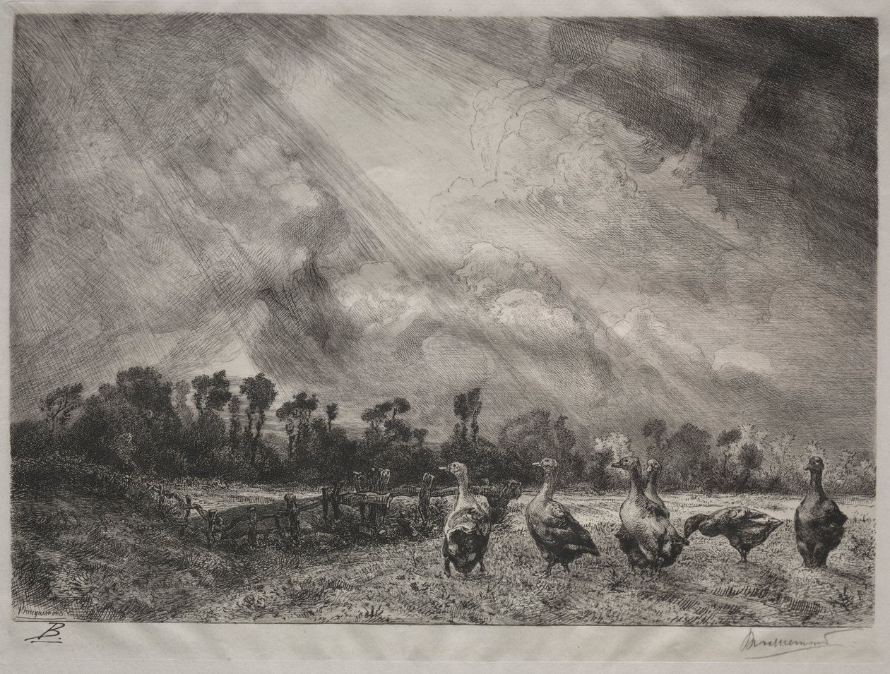 暴风云，1878-1887年。 作者 费利克斯·布拉克蒙德