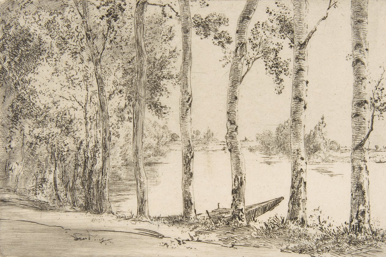 塞纳河畔的颤抖，约1884年。 作者 费利克斯·布拉克蒙德
