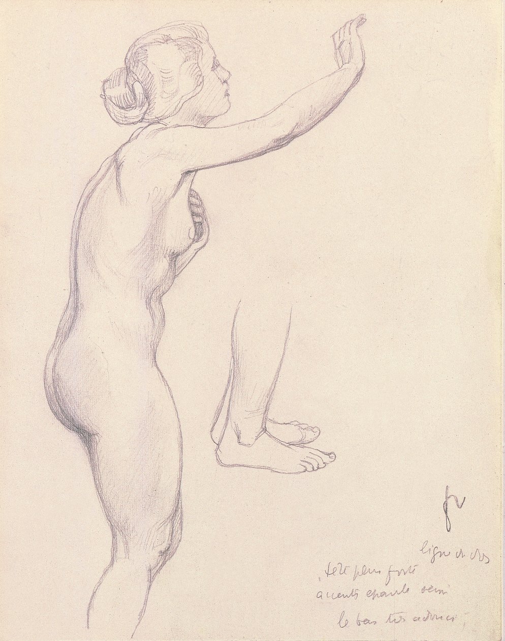 英仙座和仙女座研究，1918年 作者 费利克斯·爱德华·瓦洛顿
