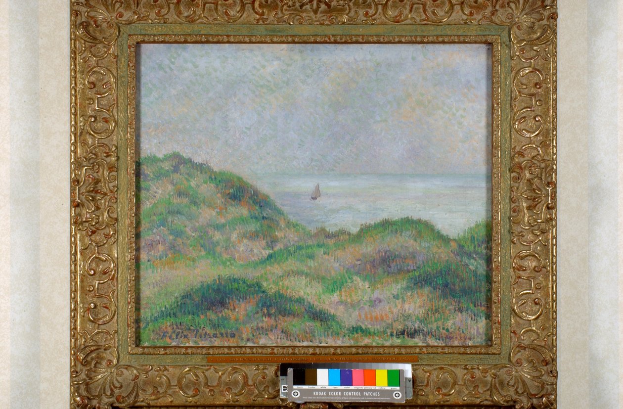 诺克沙丘 作者 费利克斯·皮萨罗（Felix Pissarro）