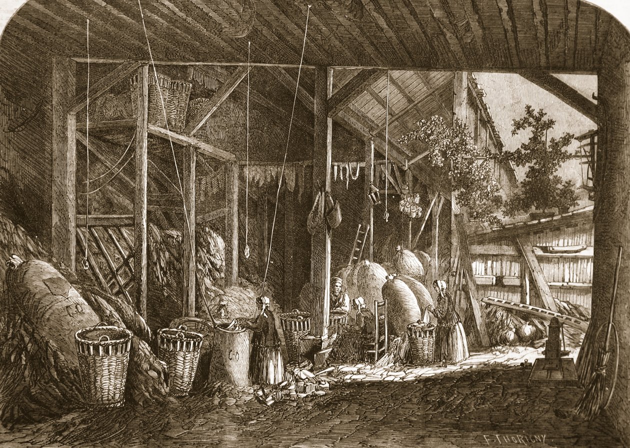 位于巴黎Quartier Mouffetard的一个Rag仓库，插图来自“The Illustrated London News”，1861年6月8日 作者 费利克斯·索里尼（Felix Thorigny）