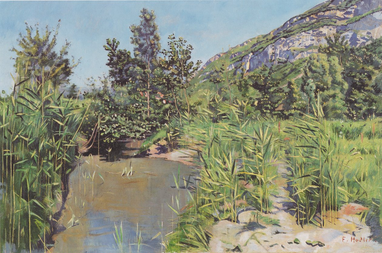 在Veyrier附近的Teichland风景 作者 费迪南德·霍德勒