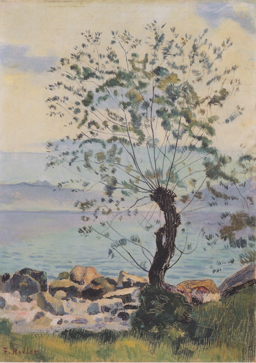 Weidebaum am See 作者 费迪南德·霍德勒