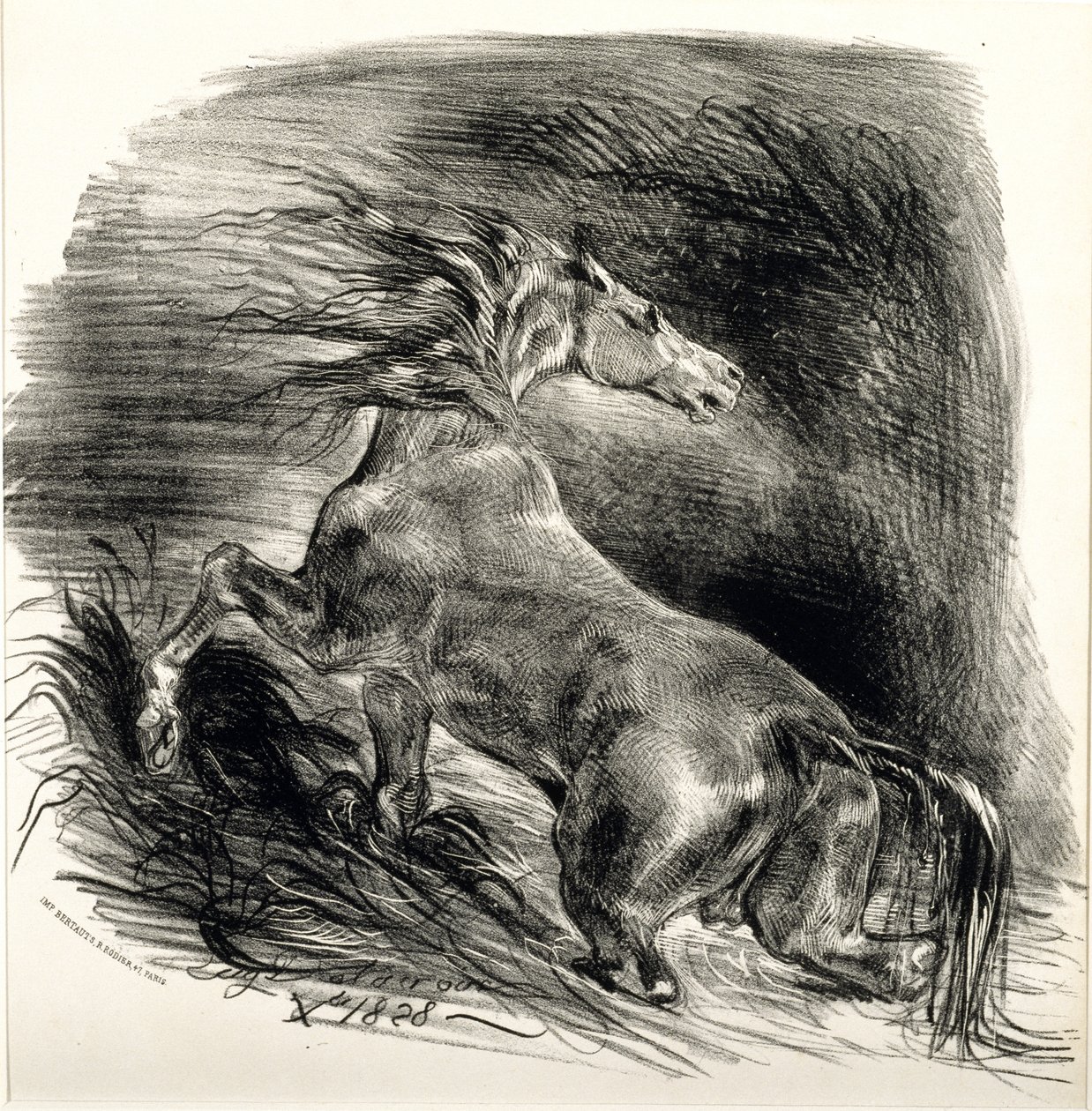 Cheval sauvage，1828年（编织纸上的平版印刷） 作者 费迪南德·维克多·尤金·德拉克罗瓦
