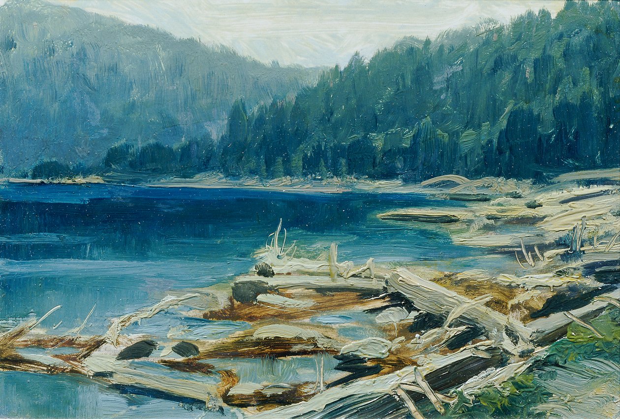 波希米亚森林（选自 "捷克风景 16 景