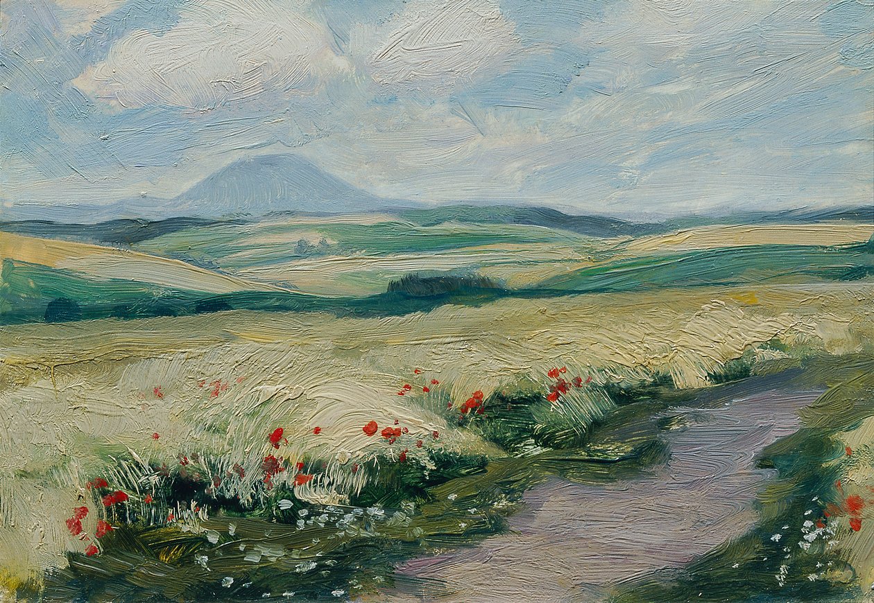 Podřipsko（选自作品集 "捷克风景 16 景