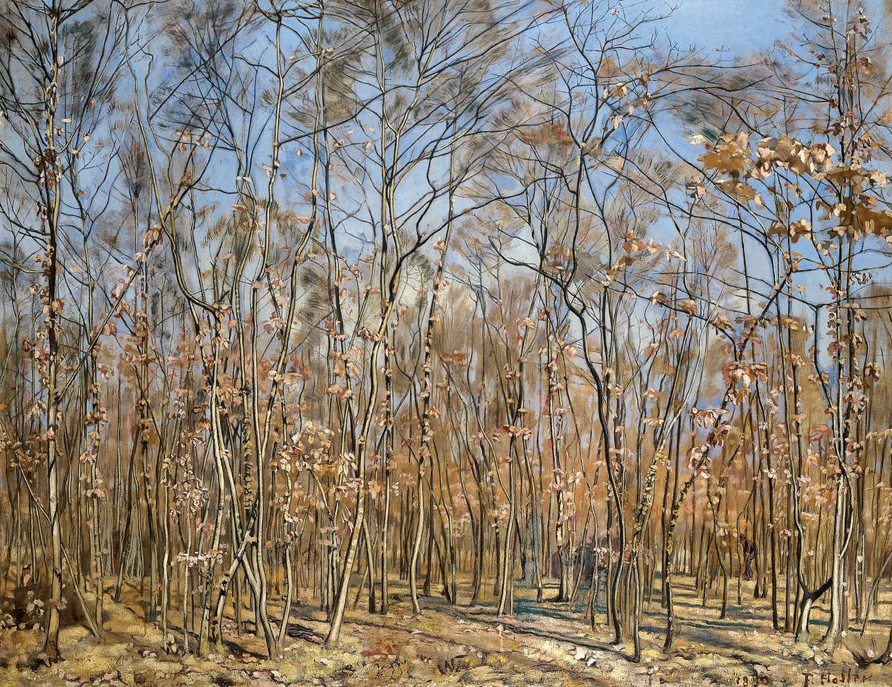 山毛榉森林，1885-1894年。 作者 费迪南德·霍德勒