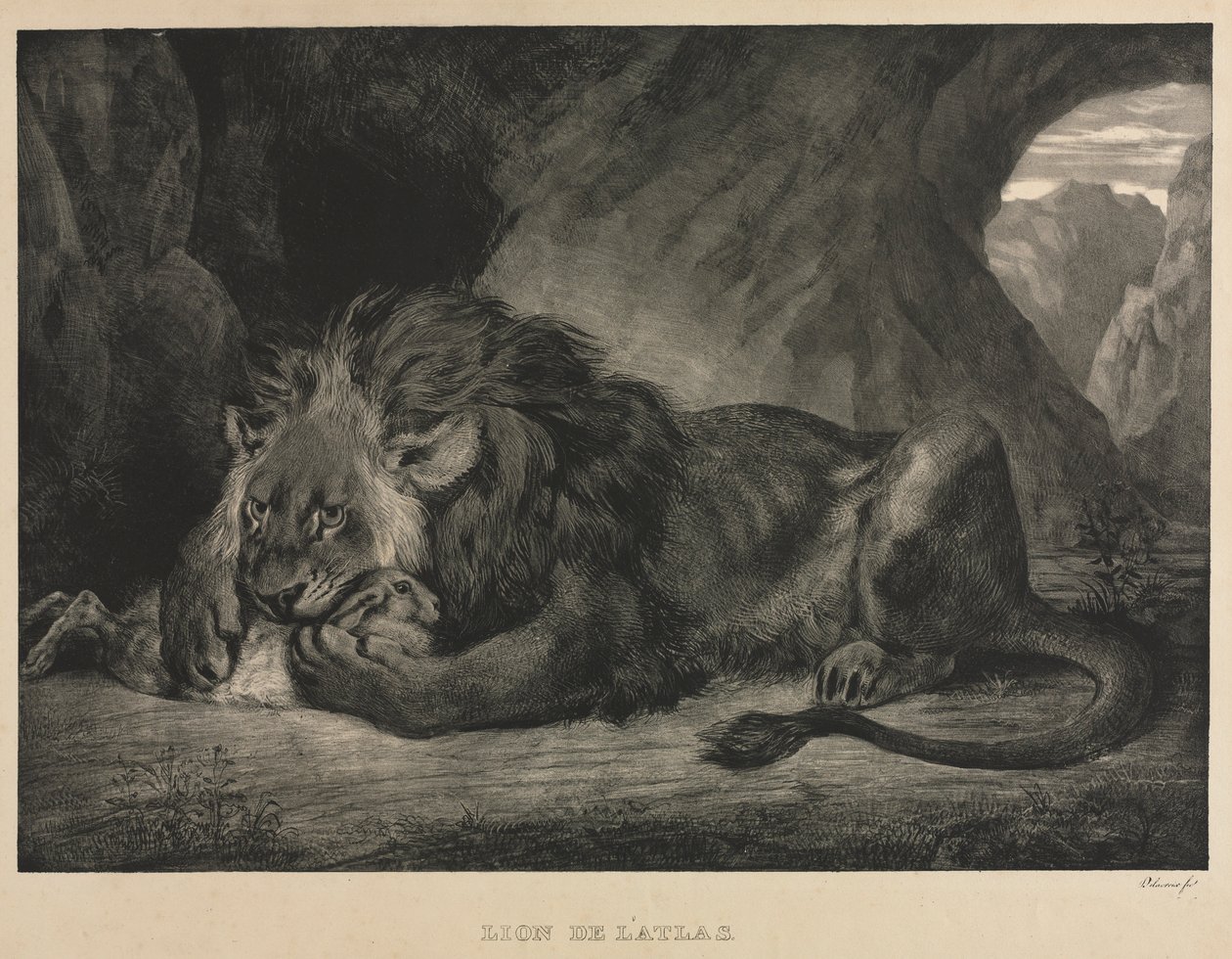 Lion de lAtlas，1829年。 作者 费迪南德·维克多·尤金·德拉克罗瓦