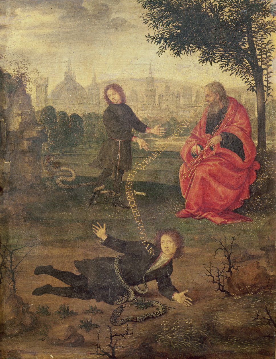 Allegory，c.1485-90 作者 菲律宾人利皮