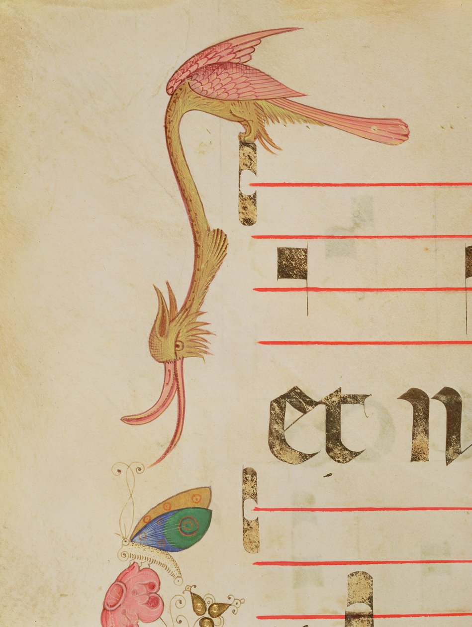 Missal 515 f.9r狩猎蝴蝶的奇幻鸟，装饰边界的细节从1449年之前执行的合唱团书 作者 Filippo di Matteo Torelli