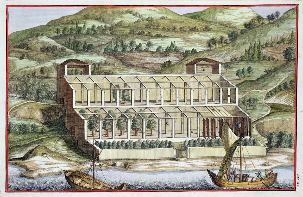 温室的结构，来自Giovanni Battista Ferrari的&39;Hesperides&39;，由Cammillo Congio（fl.1630）雕刻，1646年出版 作者 菲利波·加利亚里（Filippo Gagliardi）