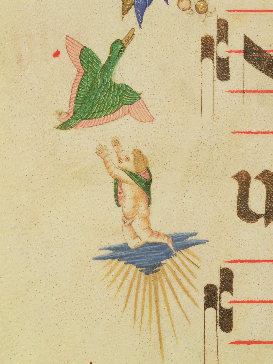 Missal 515 f.13v一个披着斗篷的小天使试图抓住一只飞鸟，装饰性的边框，来自一张合唱书的细节，在1449年之前执行的牛皮纸细节56721 作者 Filippo di Matteo Torelli
