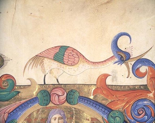Missal 515 f.169r 幻想中的鸟，来自1449年之前执行的唱诗班书的历史性首字母周围的装饰细节（牛皮纸）（56720的细节）。 作者 Filippo di Matteo Torelli