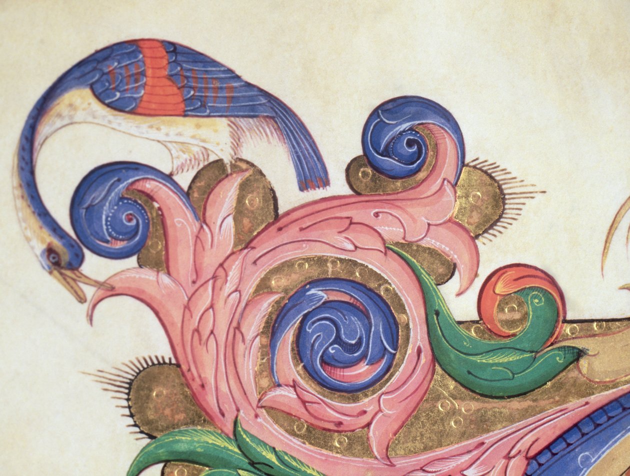 Missal 515 f.169r梦幻般的鸟儿在树叶周围眺望，装饰细节周围的历史性首字母从1449年之前执行的合唱团书执行56720的细节 作者 Filippo di Matteo Torelli