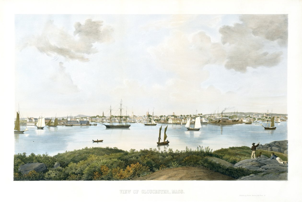 马萨诸塞州格洛斯特的风景c。 1856年（色谱） 作者 费兹·亨利（attr.to）Lane