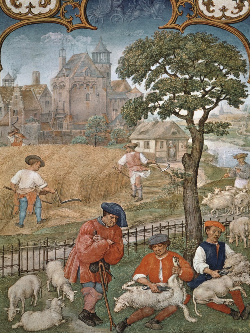 Fol.7v 7月份：收获和剪羊毛，来自Breviarium Grimani，1515 作者 佛兰芒学校