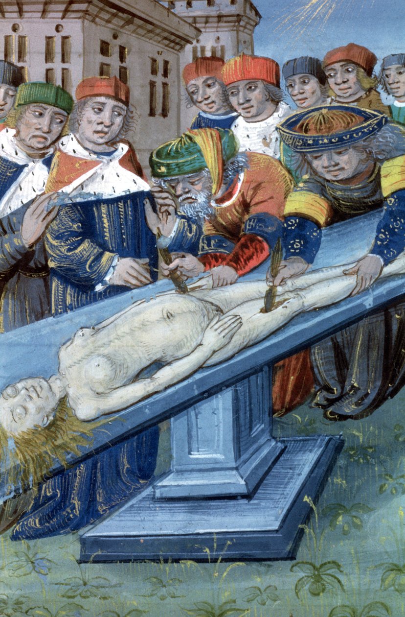 Hunter 9 f.22r解剖，来自De Medina Fen I. II，来自Avicenna（980-1037） 作者 佛兰芒学校