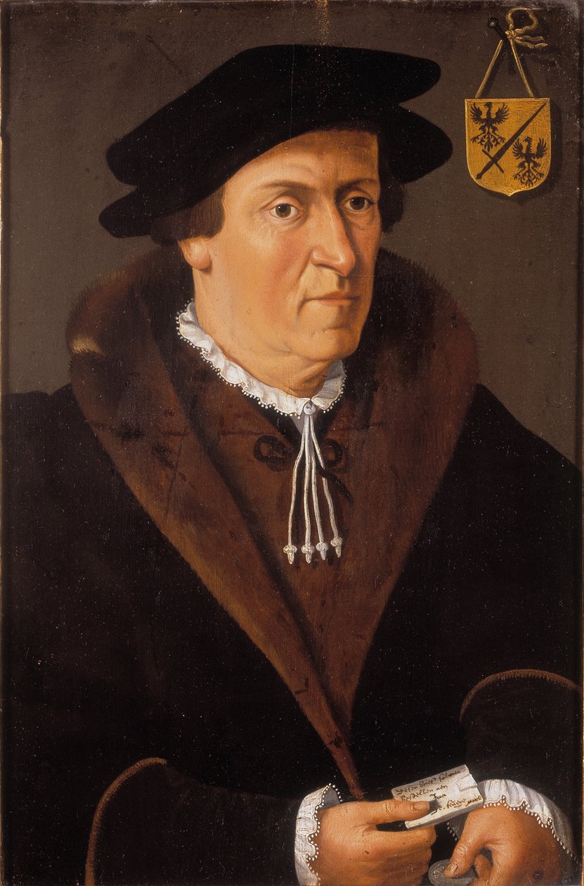 Jan de Fevere 的肖像，c.1540-59（面板油画） 作者 佛兰芒学校