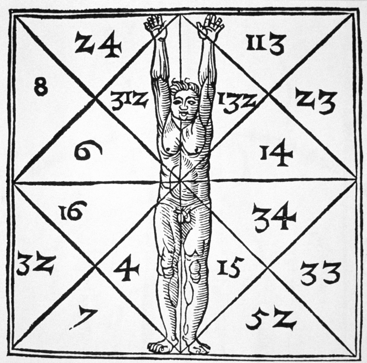 由Henricus Cornelius Agrippa（1533年）发表的“魔法史上的人类与他们的神秘数字的比例”在19世纪末出版的魔术史中有所体现 作者 佛兰芒学校