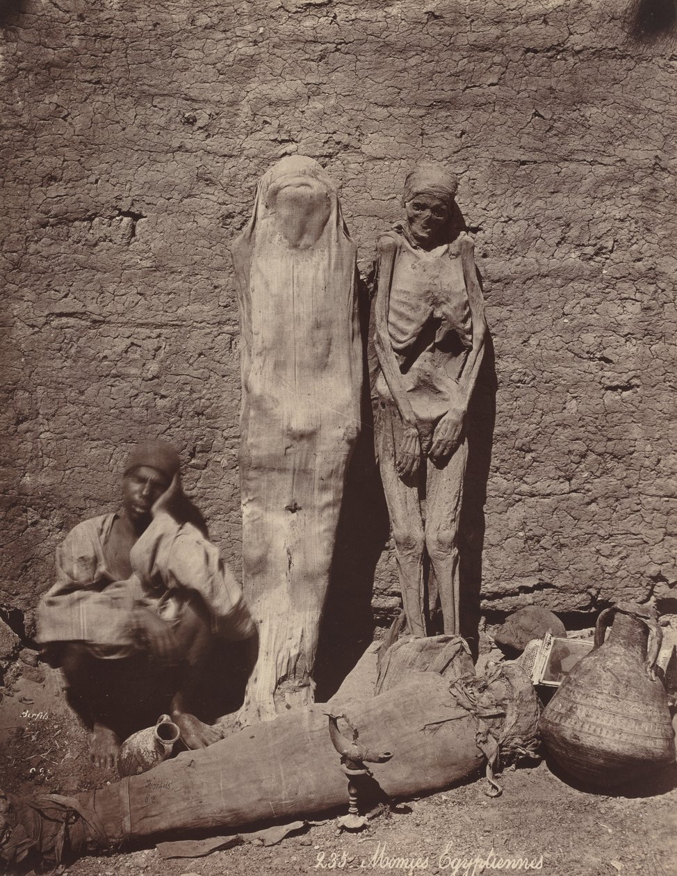 Momies Egyptiennes埃及木乃伊，约1870年。 作者 菲利克斯邦菲尔斯