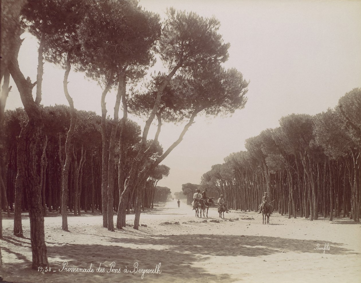 贝鲁特的Promenade des Pins，约1870年。 作者 菲利克斯邦菲尔斯