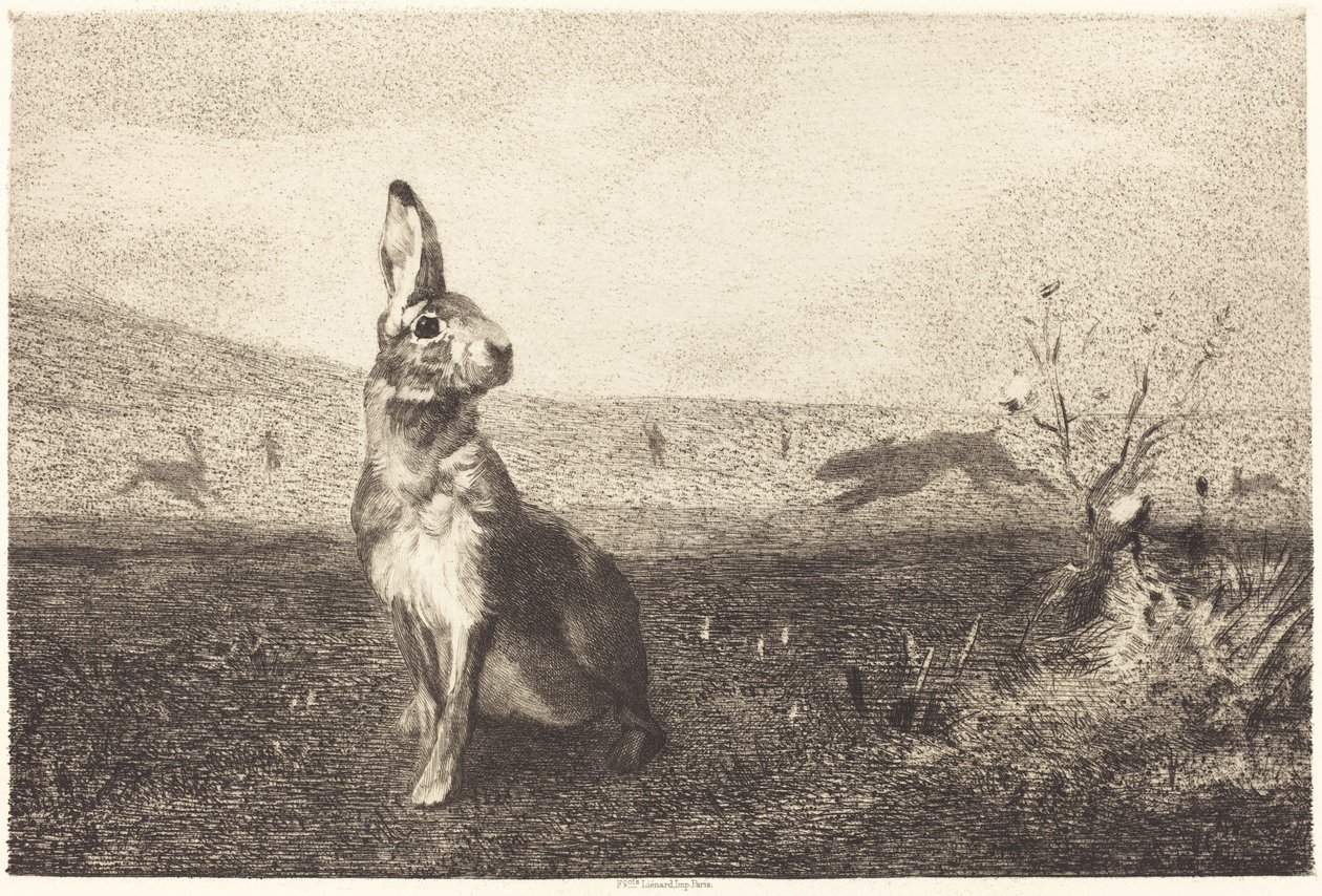 野兔 作者 菲利克斯·布拉克蒙德 (Felix Bracquemond) 模仿阿尔伯特·德·巴勒罗瓦 (Albert de Balleroy)