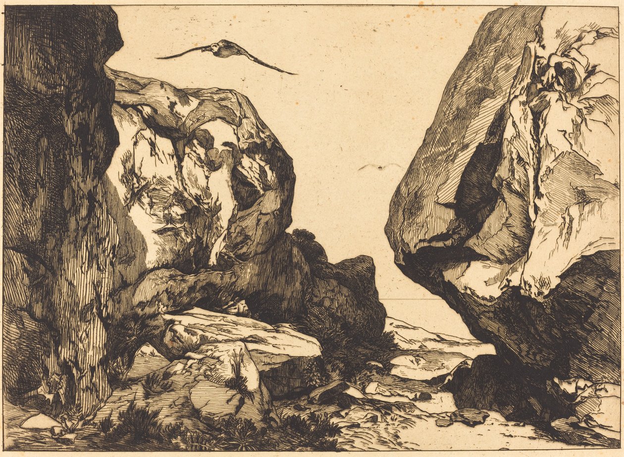 岩石中的峡谷 (Gorge dans les rochers) 作者 朱尔斯·劳伦斯之后的菲利克斯·布拉克蒙德