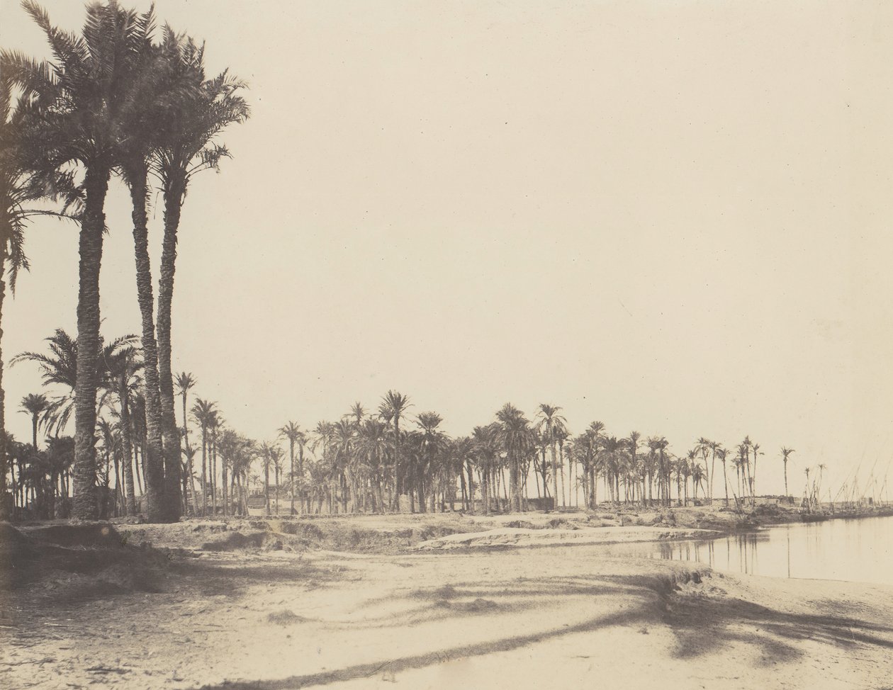 El-Nâcérah，枣树，尼罗河岸和船，1851-52年，1853-54年印刷。 作者 费利克斯·泰纳德