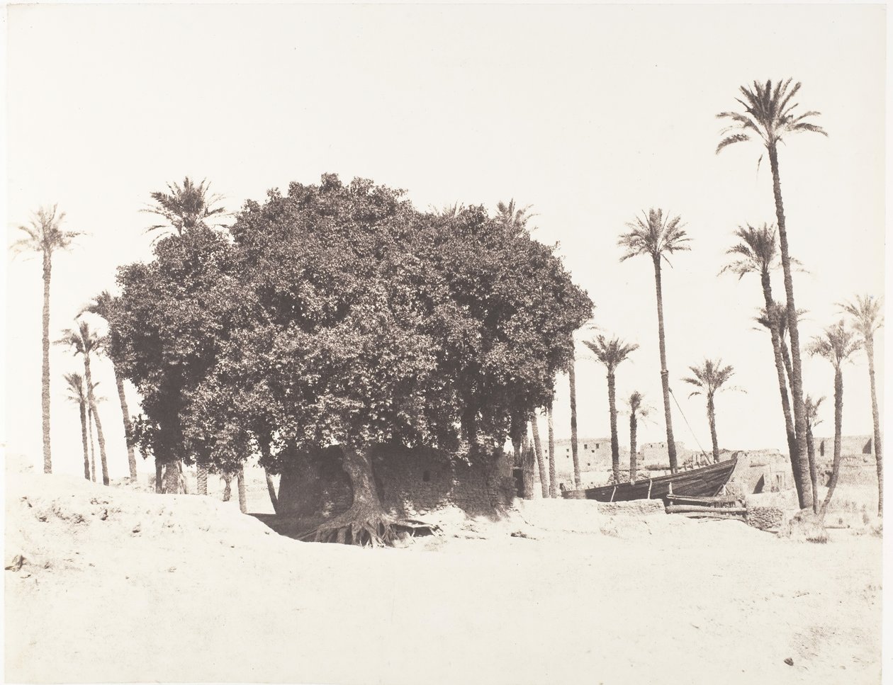 Esneh, Dattiers, Sycomore and Café Sur le Bord du Nil, 1851-52, printed 1853-54. 作者 费利克斯·泰纳德