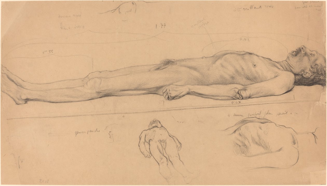 死去的基督》的尸体研究，1893年。 作者 费利克斯·瓦尔洛顿