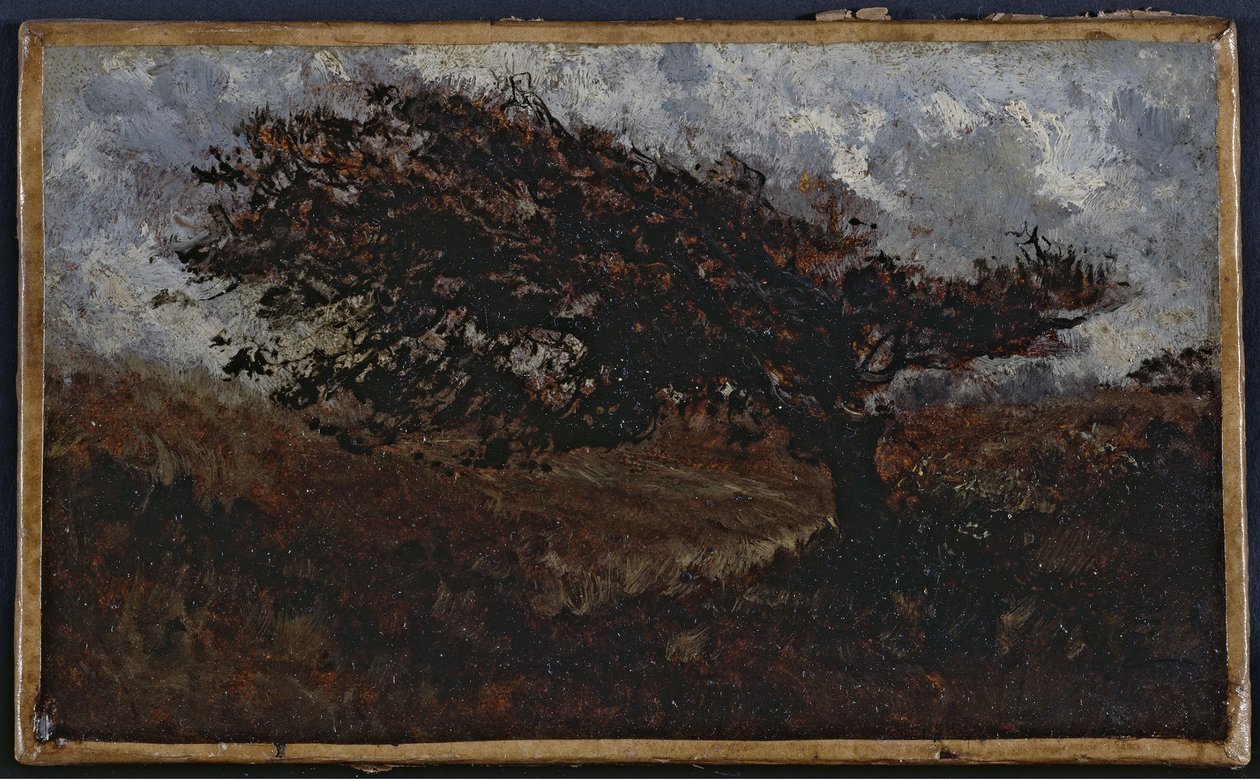 Le coup de vent，1850 年至 1860 年间（布面油画纸） 作者 费利克斯·齐姆